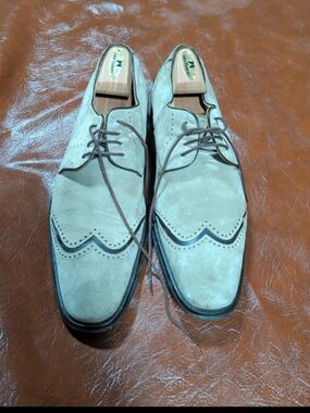 Mezlan Italy Men's 10.5 M Beige Suede Wingtip Dress Shoes Brown Contrast EUC